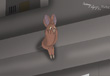 foxy_roof_color.png